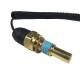SWITCH COOLANT TEMP GM TRAIL BLAZER 4.2 2P -06