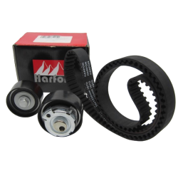 TIMING BELT SET CHERY ARAUCA QQ6 167D HARFON